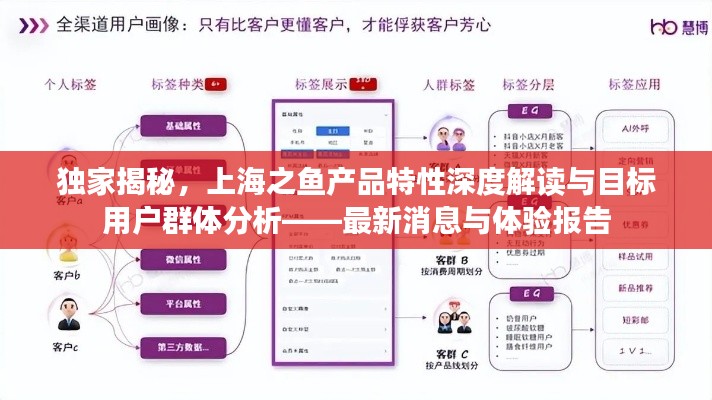 独家揭秘，上海之鱼产品特性深度解读与目标用户群体分析——最新消息与体验报告