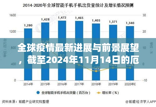 全球疫情最新进展与前景展望，截至2024年11月14日的厄疫情最新消息