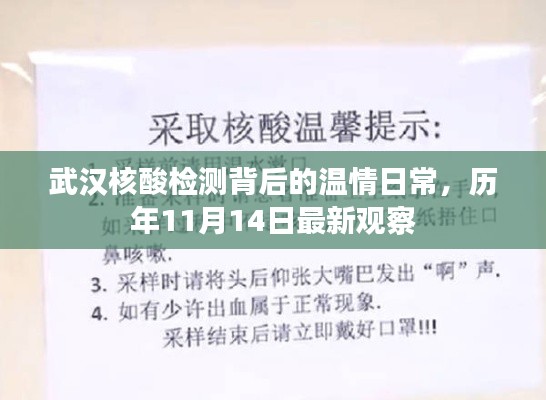 武汉核酸检测背后的温情日常，历年11月14日最新观察