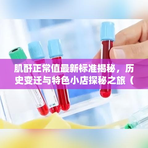 肌酐正常值最新标准揭秘，历史变迁与特色小店探秘之旅（2022年）