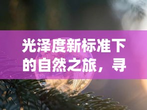 光泽度新标准下的自然之旅，寻找内心平静的奇妙探险之旅