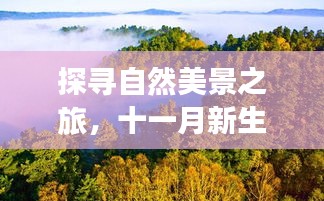 探寻自然美景之旅，十一月新生意经，重拾内心的宁静与平和之道