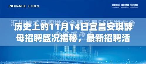 历史上的11月14日宜昌安琪酵母招聘盛况揭秘，最新招聘活动一览无余！