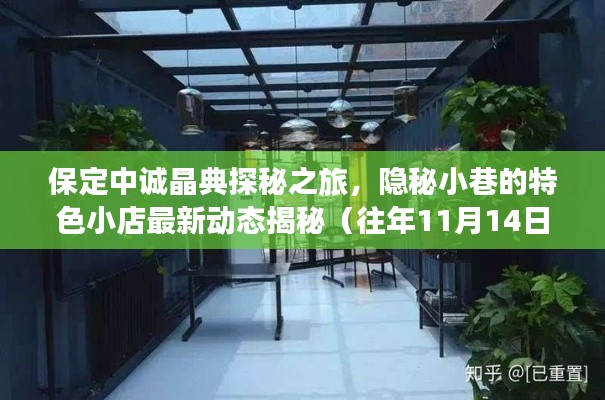 保定中诚晶典探秘之旅，隐秘小巷的特色小店最新动态揭秘（往年11月14日）