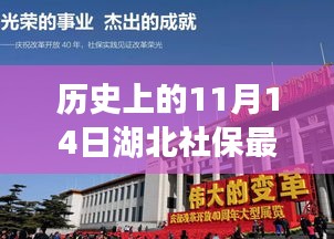 历史上的11月14日湖北社保最新动态及其影响深度解析