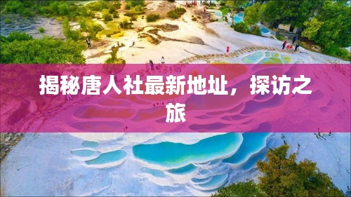 揭秘唐人社最新地址，探访之旅