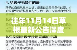 往年11月14日草根最新公告深度解析，洞悉每一个细节的全面指南