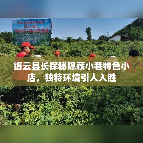 缙云县长探秘隐藏小巷特色小店，独特环境引人入胜