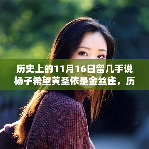 杨子与黄圣依，微妙关系的深度解读——历史上的11月16日留几手事件回顾与解析