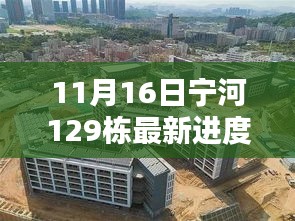 宁河129栋建筑最新进度报告，11月16日更新概况