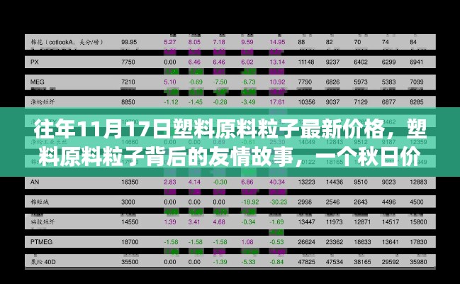 秋日塑料原料粒子价格探索之旅，友情故事与最新价格揭秘