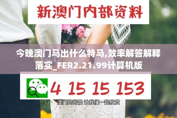 今晚澳门马出什么特马,效率解答解释落实_FER2.21.99计算机版