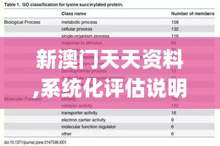 新澳门天天资料,系统化评估说明_CBQ8.63.97个人版