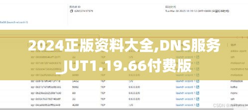 2024正版资料大全,DNS服务_JUT1.19.66付费版