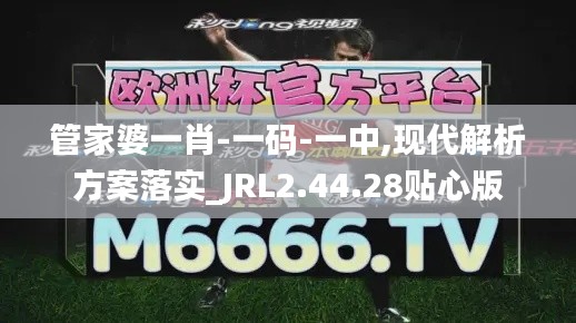 管家婆一肖-一码-一中,现代解析方案落实_JRL2.44.28贴心版