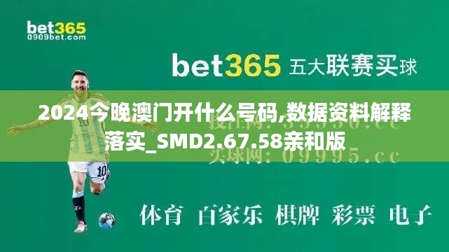 2024今晚澳门开什么号码,数据资料解释落实_SMD2.67.58亲和版