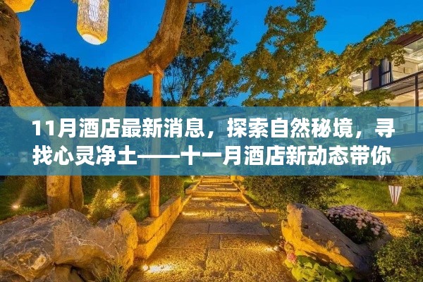 十一月酒店新动态，探索自然秘境，心灵梦幻之旅