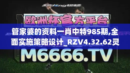 管家婆的资料一肖中特985期,全面实施策略设计_RZV4.32.62灵活版