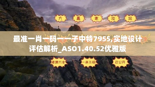 最准一肖一码一一子中特7955,实地设计评估解析_ASO1.40.52优雅版