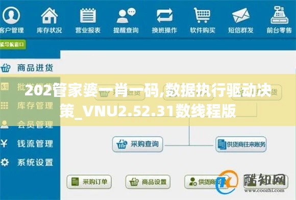 202管家婆一肖一码,数据执行驱动决策_VNU2.52.31数线程版