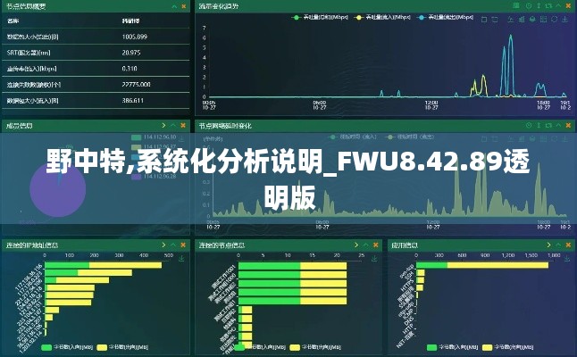 野中特,系统化分析说明_FWU8.42.89透明版