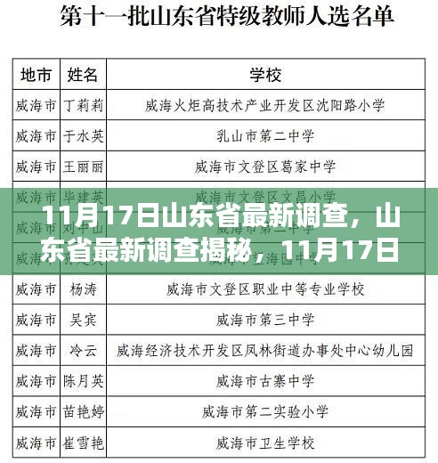 山东省最新调查揭秘，深度洞察时代印记，探寻11月17日的背后故事