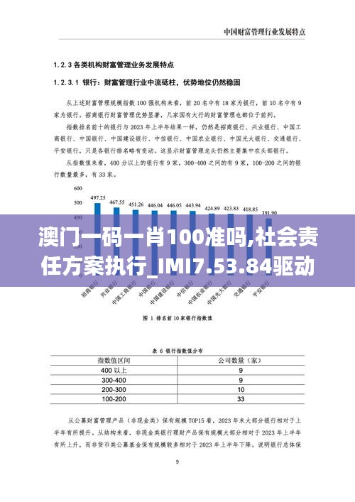 澳门一码一肖100准吗,社会责任方案执行_IMI7.53.84驱动版