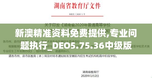 新澳精准资料免费提供,专业问题执行_DEO5.75.36中级版