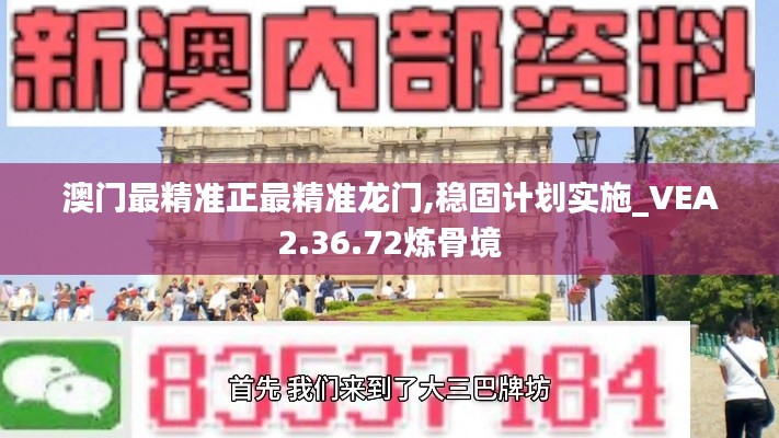 澳门最精准正最精准龙门,稳固计划实施_VEA2.36.72炼骨境