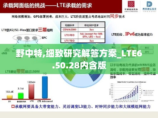 野中特,细致研究解答方案_LTE6.50.28内含版