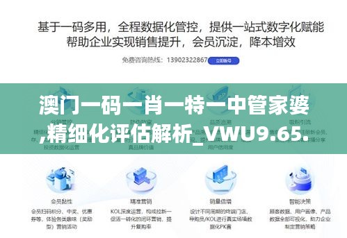 澳门一码一肖一特一中管家婆,精细化评估解析_VWU9.65.85极限版