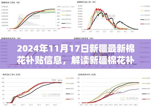 2024年新疆棉花补贴政策解读，最新信息与视角观点