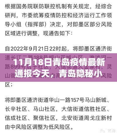 青岛疫情最新通报与隐秘小巷中的小店故事，疫情下的独特风味