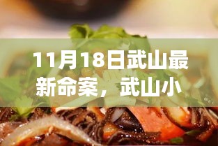 11月18日武山最新命案，武山小巷深处的秘密美食，最新命案背后的意外发现