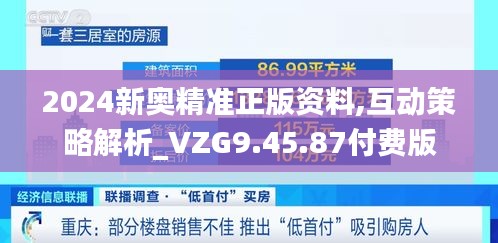 2024新奥精准正版资料,互动策略解析_VZG9.45.87付费版