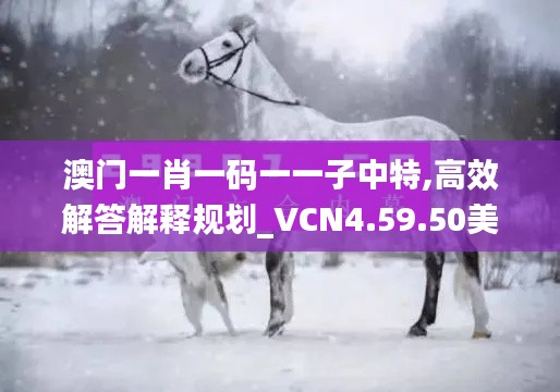 澳门一肖一码一一子中特,高效解答解释规划_VCN4.59.50美学版