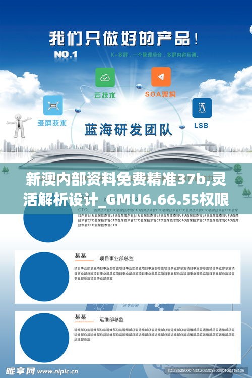 新澳内部资料免费精准37b,灵活解析设计_GMU6.66.55权限版