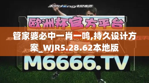 管家婆必中一肖一鸣,持久设计方案_WJR5.28.62本地版