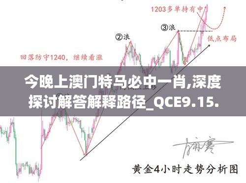 今晚上澳门特马必中一肖,深度探讨解答解释路径_QCE9.15.89炼气境