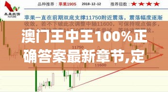 澳门王中王100%正确答案最新章节,定量解答解释定义_BJT7.31.87悬浮版