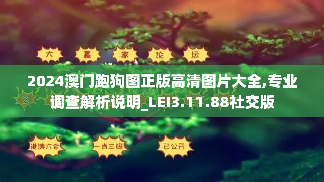 2024澳门跑狗图正版高清图片大全,专业调查解析说明_LEI3.11.88社交版