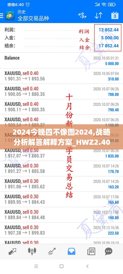 2024今晚四不像图2024,战略分析解答解释方案_HWZ2.40.40真元境