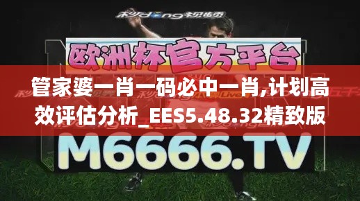 管家婆一肖一码必中一肖,计划高效评估分析_EES5.48.32精致版