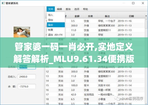 管家婆一码一肖必开,实地定义解答解析_MLU9.61.34便携版