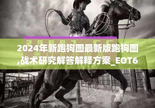 2024年新跑狗图最新版跑狗图,战术研究解答解释方案_EOT6.74.57手游版