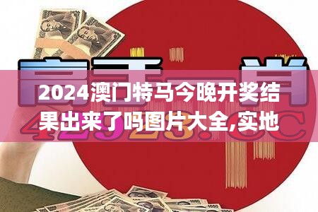 2024澳门特马今晚开奖结果出来了吗图片大全,实地解读说明_PTZ3.32.29高配版