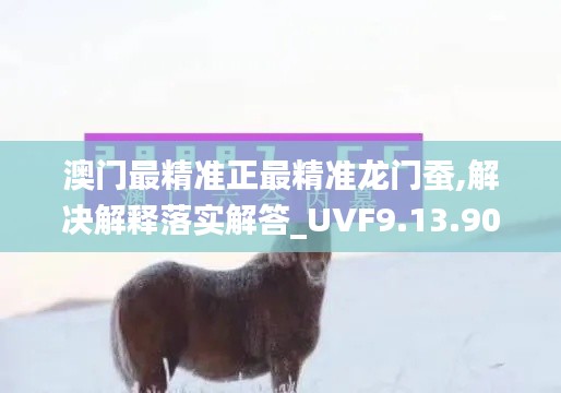 澳门最精准正最精准龙门蚕,解决解释落实解答_UVF9.13.90挑战版