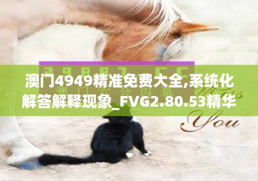 澳门4949精准免费大全,系统化解答解释现象_FVG2.80.53精华版