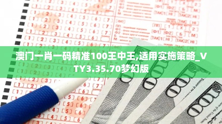 澳门一肖一码精准100王中王,适用实施策略_VTY3.35.70梦幻版