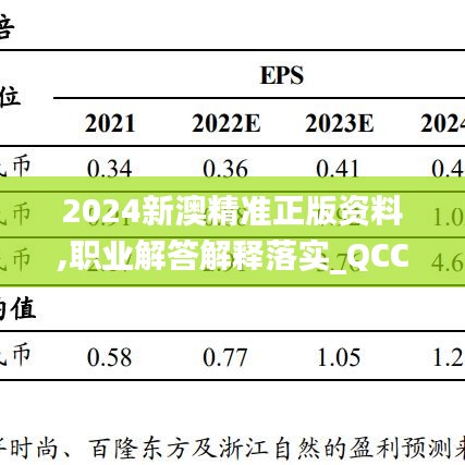 2024新澳精准正版资料,职业解答解释落实_QCC9.57.39传递版